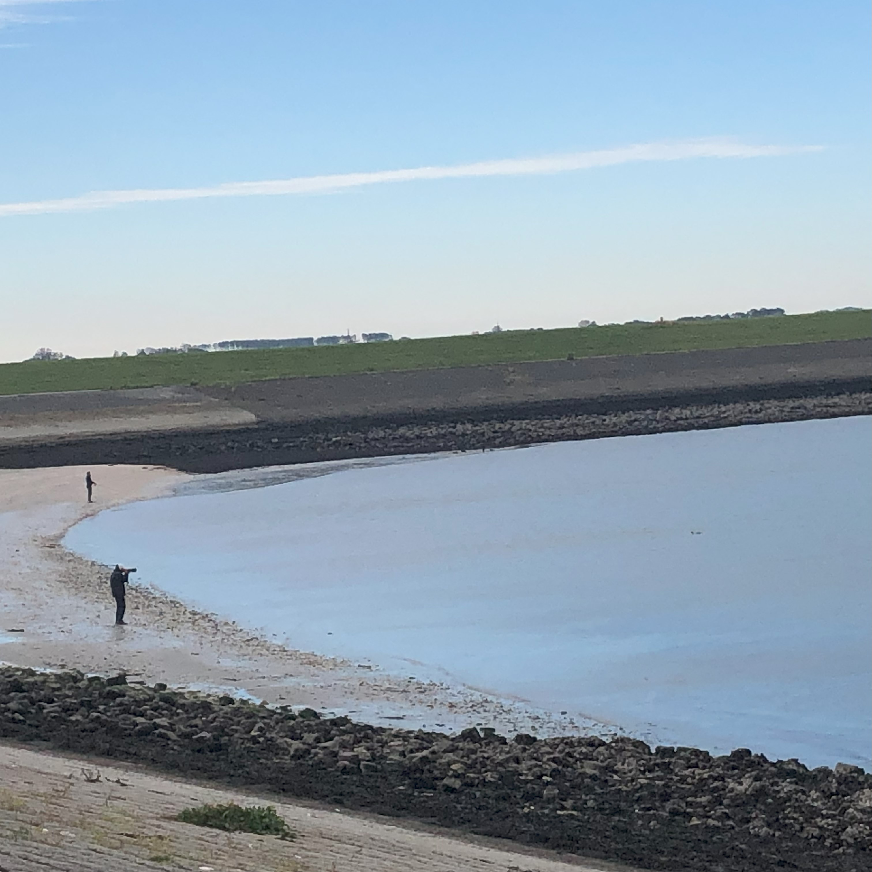 Roodhalsfuut (Kamperland). Foto van Rob Eveleens.
Met telelens op jacht